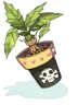 Mandragora Flowerpot