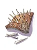 Porcupine Quill