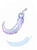 Feather of Birds