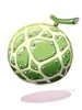 Melon Bomb