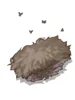 Antelope Skin