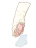Paw Of Cat