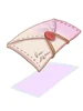 Directive Envelope B