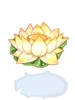 Flower Lily