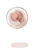 Embryo
