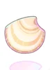 Clam Shell