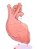 Immortal Heart