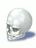 Vagabond's Skull