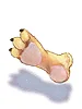 Tiger's Footskin