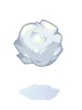 Crumpled Paper