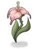 Wild Flower