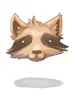 Raccoon Hat