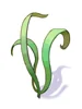 Singing Plant