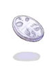 Platinum Coin