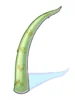Pointed Scale