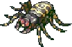 Giant Spider